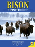 Cover: Bison: A Winter Journey - Av2
