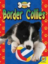 Enlarge image Cover: Border Collies - Av2