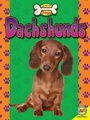 Cover: Cocker Spaniels - Av2