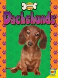 Cover: Cocker Spaniels - Av2