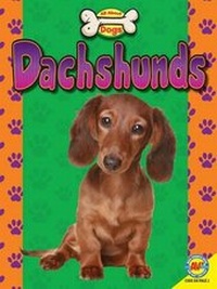 Enlarge image Cover: Cocker Spaniels - Av2