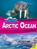 Cover: Arctic Ocean - Av2