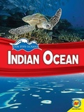Cover: Indian Ocean - Av2