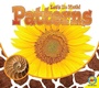 Cover: Patterns - Av2