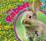 Cover: My Rabbit - Av2