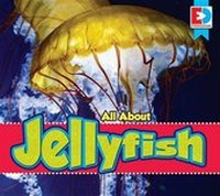 Enlarge image Cover: All about Jellyfish - Av2