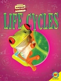 Cover: Life Cycles - Av2