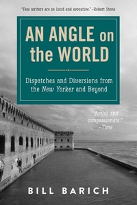 Enlarge image Cover: An Angle on the World - Skyhorse Publishing