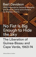Cover: No Fist Is Big Enough to Hide the Sky - Zed Books Ltd