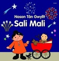 Cover: Noson Tan Gwyllt Sali Mali - Gomer Press