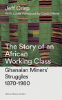 Cover: The Story of an African Working Class - Zed Books Ltd