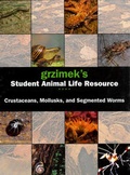 Cover: Segmented Worms, Crustaceans and Molluscs - U.X.L.