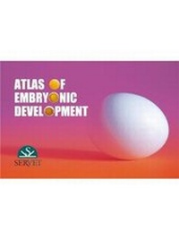 Abbildung von: Atlas of Embryonic Development - Servet