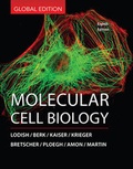 Cover: Molecular Cell Biology - W.H.Freeman & Co Ltd