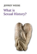 Cover: What is Sexual History? - Polity Press