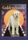 Cover: Goldendoodle (Designer Dog Series) - Companion House