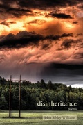 Cover: Disinheritance - Apprentice House