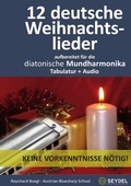 Cover: Harmonica Songbooks / 12 deutsche Weihnachtslieder - epubli