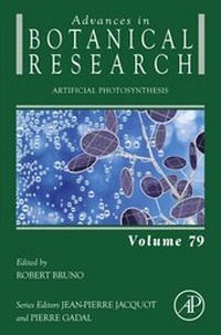 Abbildung von: Artificial Photosynthesis - Academic Press