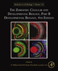 Abbildung von: The Zebrafish: Cellular and Developmental Biology, Part B Developmental Biology - Academic Press
