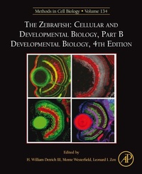Enlarge image Cover: The Zebrafish: Cellular and Developmental Biology, Part B Developmental Biology - Academic Press