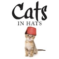 Cover: Cats in Hats - Amber Books