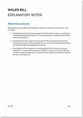 Cover: Wales Bill - TSO