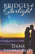 Cover: Bridges of Starlight - Windows Wide Open