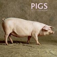 Abbildung von: 2017 Calendar: Pigs - Peony Press