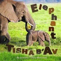 Enlarge image Cover: Elephant Tisha b'Av - Safer Editions