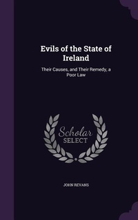 Abbildung von: Evils of the State of Ireland - Palala Press
