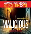 Cover: Malicious - Bookshots