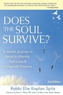 Cover: Does the Soul Survive? (2nd Edition) - Jewish Lights