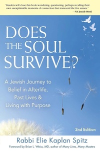 Enlarge image Cover: Does the Soul Survive? (2nd Edition) - Jewish Lights