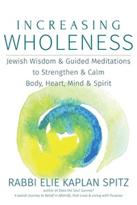 Enlarge image Cover: Increasing Wholeness - Jewish Lights