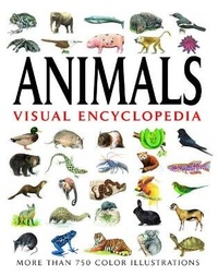 Abbildung von: Animals Visual Encyclopedia - Amber Books