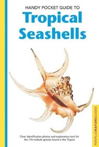 Enlarge image Cover: Handy Pocket Guide to Tropical Seashells - Periplus Editions/Berkeley Books Pte Ltd