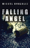 Cover: Falling Angel - Outskirts Press
