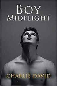 Enlarge image Cover: Boy Midflight - Dreamspinner Press