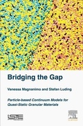 Cover: Bridging the Gap - Elsevier