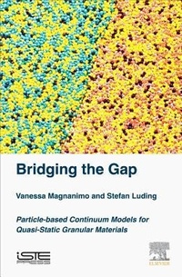 Enlarge image Cover: Bridging the Gap - Elsevier