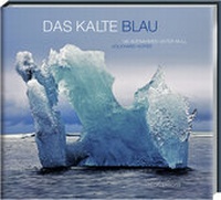 Abbildung von: Das kalte Blau - Tecklenborg, B