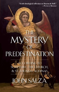 Abbildung von: Mystery of Predestination - TAN Books