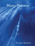 Cover: Many Names - Lulu.com