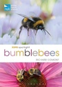 Cover: RSPB Spotlight Bumblebees - Bloomsbury Natural History