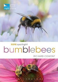 Enlarge image Cover: RSPB Spotlight Bumblebees - Bloomsbury Natural History