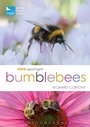 Cover: RSPB Spotlight Bumblebees - Bloomsbury Natural History