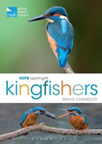 Abbildung von: RSPB Spotlight Kingfishers - Bloomsbury Natural History