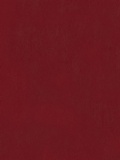 Cover: Surface & Coatings Technology - Elsevier