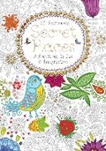Cover: Secret Places Postcard Book - Flame Tree Publishing